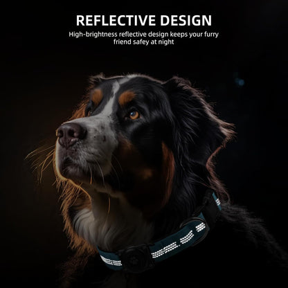 Pro-Guard Waterproof AirTag Dog Collar – Reflective & Heavy-Duty Security (Blue, Medium)