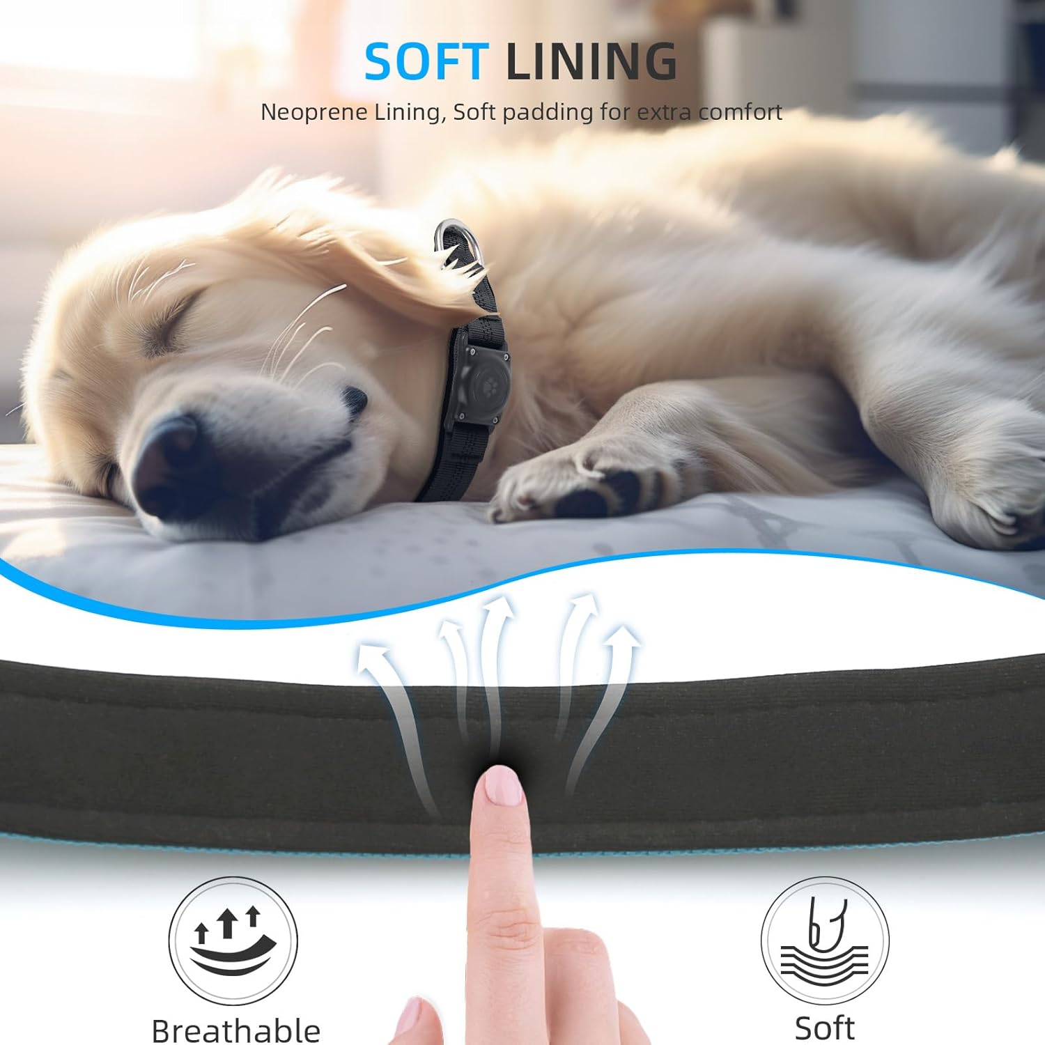 Pro-Guard Waterproof AirTag Dog Collar – Reflective & Heavy-Duty Security (Blue, Medium)