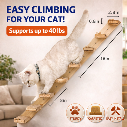 Ascend™ 2-Pack Cat Wall Stairs – Safe & Sturdy Access for Cats