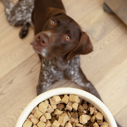 Chicken Dog Food Topper — High-Protein Meal Upgrade for Dogs