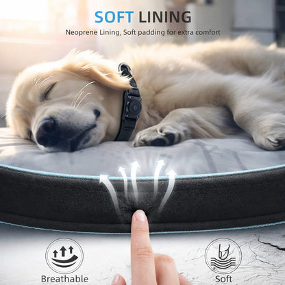 ApexGuard™ Security Collar – Real-Time Safety & Tracking for Pets