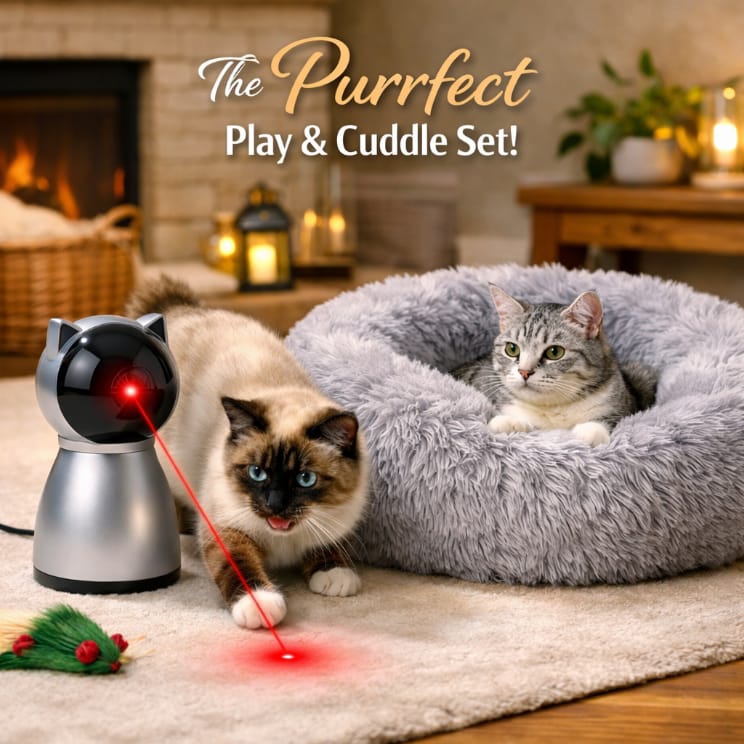 ZenChase™ 4th Gen Motion-Activated Laser Toy + ZenDonut™ Luxury Tunnel