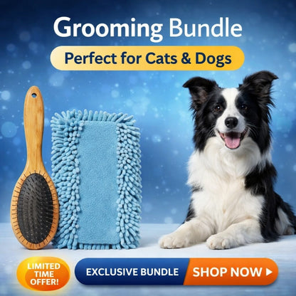 ZenGroom™ Groom & Dry Duo – The Ultimate Pet Spa Bundle