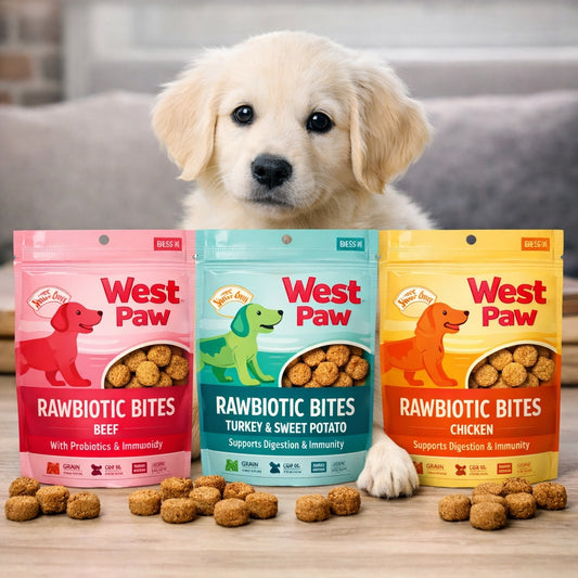 Rawbiotic Bites Beef Dog Food Topper | Raw Protein, Probiotics & Real Veggies