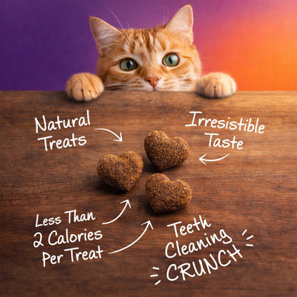 Wellness Kittles™ Crunchy Chicken & Cranberry Natural Cat Treats (2oz)