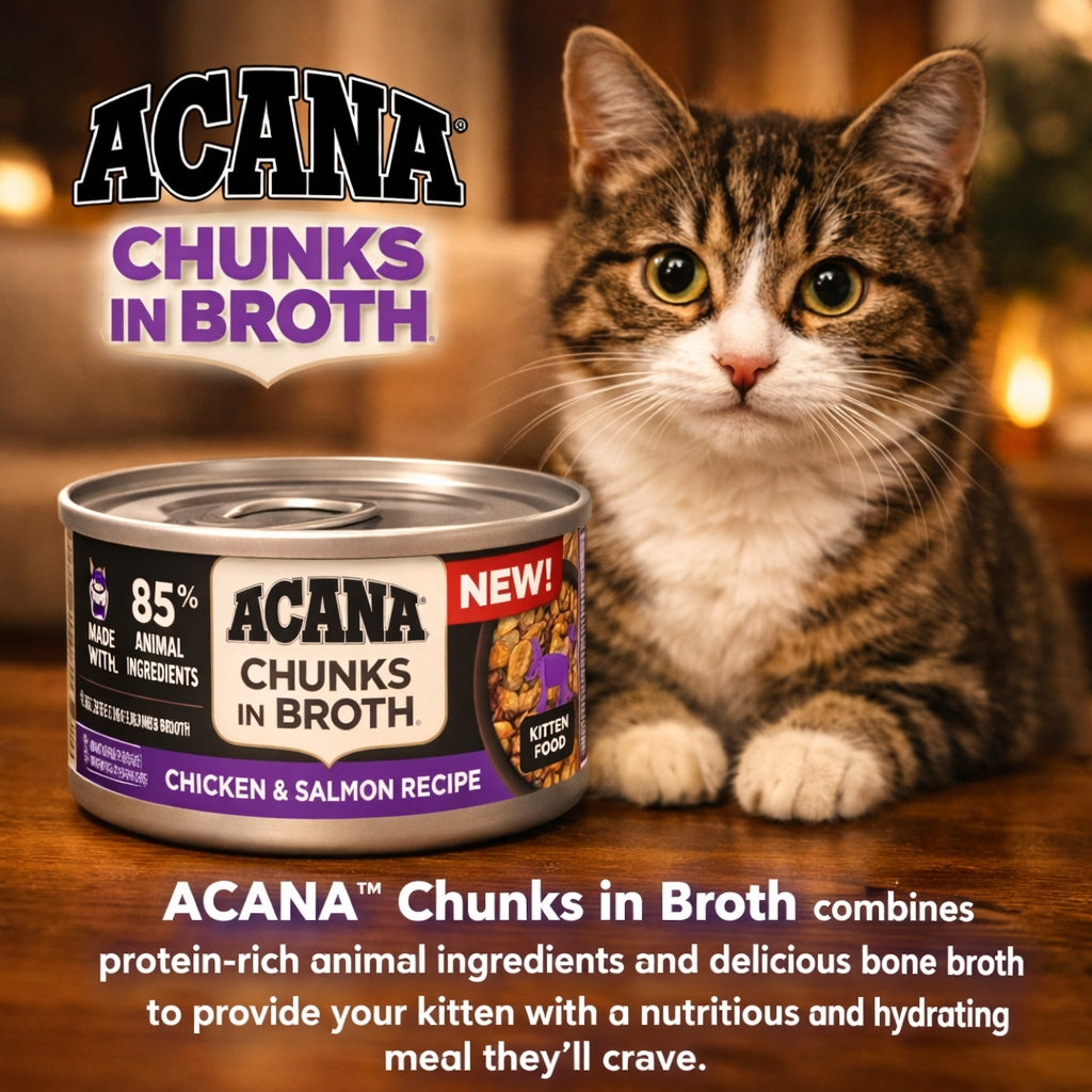 Acana Grain Free Kitten Wet Food | Chicken & Salmon Chunks in Bone Broth (3oz)
