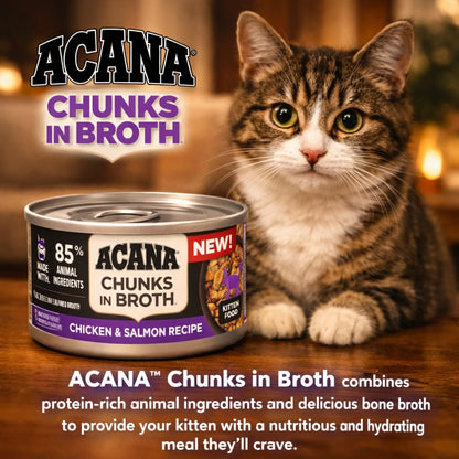 Acana Grain Free Kitten Wet Food | Chicken & Salmon Chunks in Bone Broth (3oz)