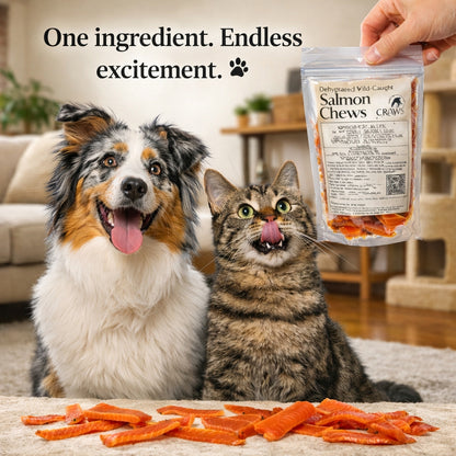 Wild-Caught Salmon Chews – Omega-3 Treat for Cats & Dogs | 2oz | Raw Instincts